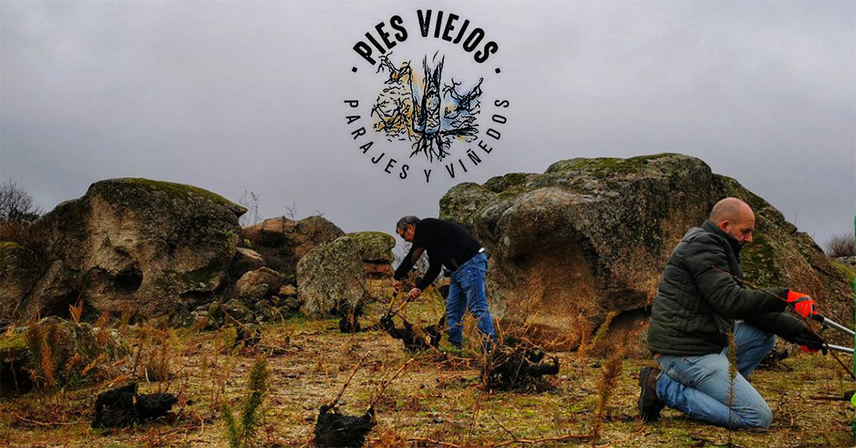 Tasting with Pies Viejos | Bravo Wine Bar